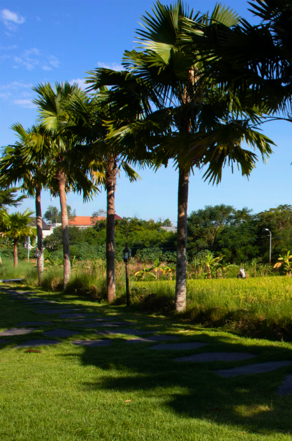 The Suite Villa slide 16