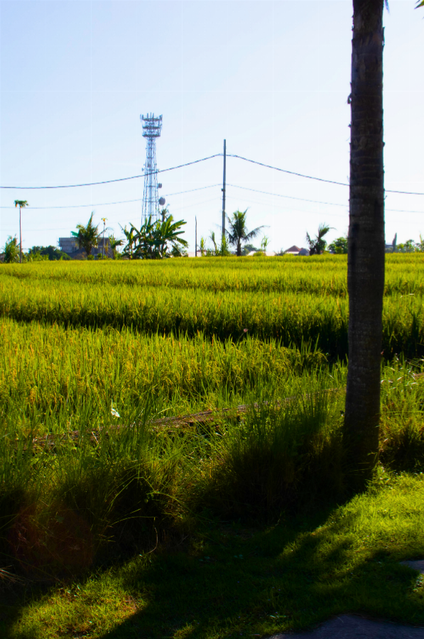 The Suite Villa slide 17